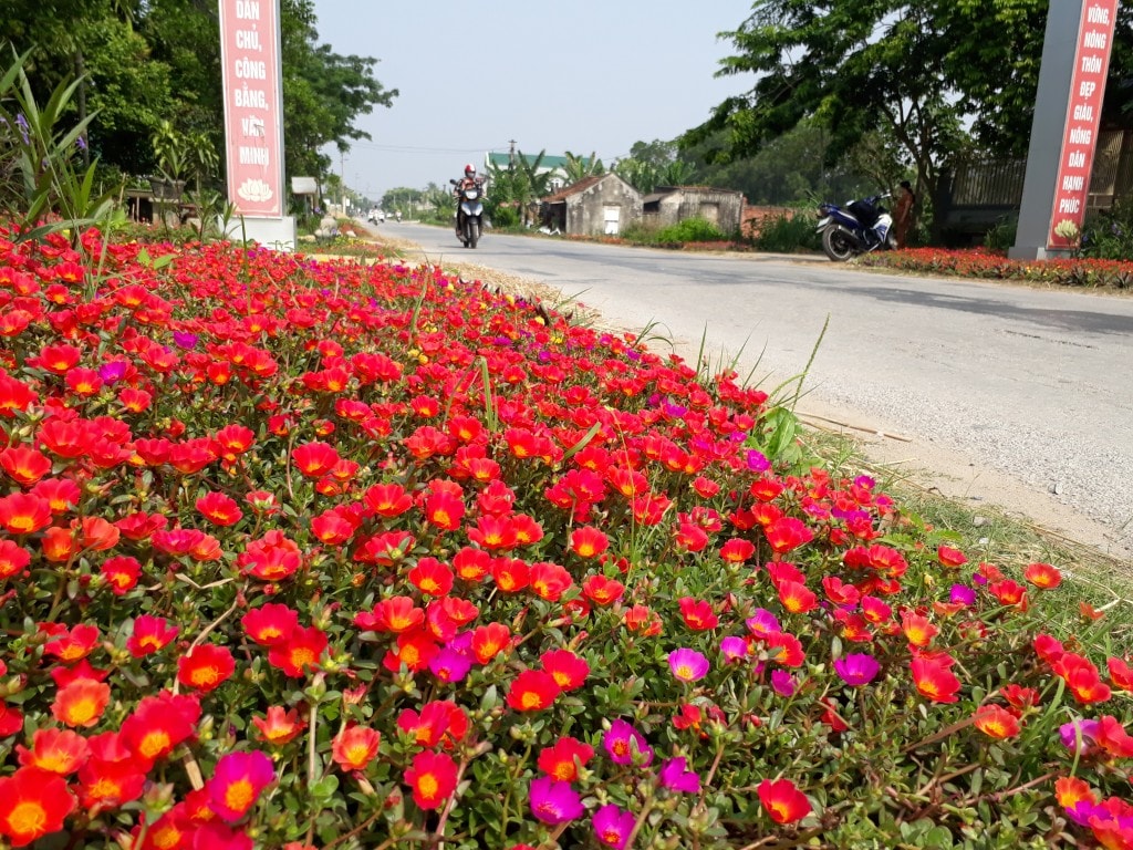 20170528_090043