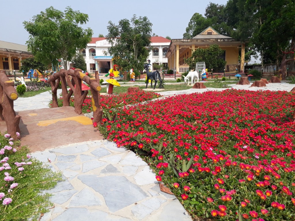 ,mầm non 4